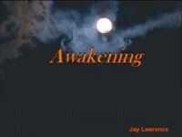 Screenshot of Awakening